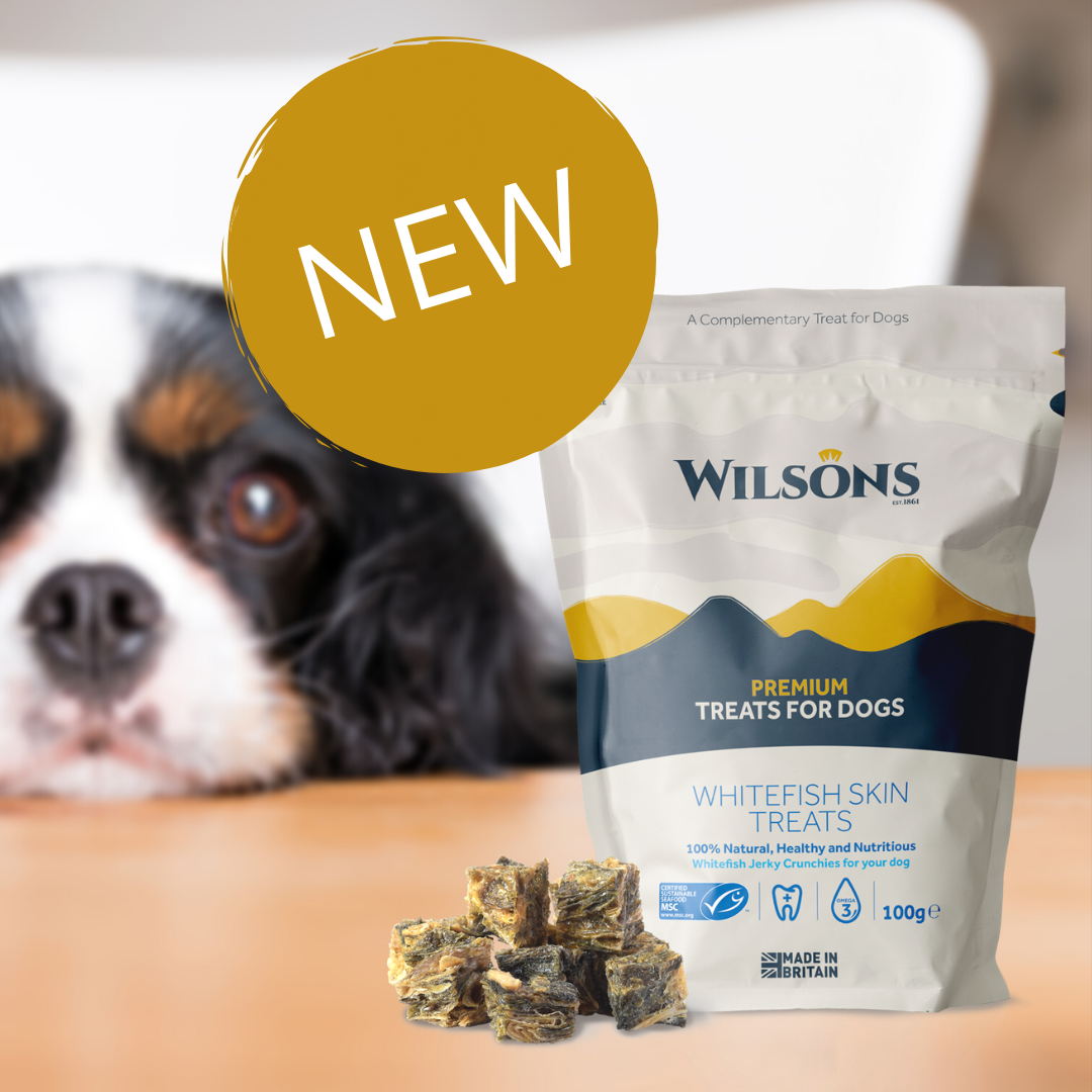 Wilsons Pet Food launches new Premium Dog Treats PATS 2021 All the